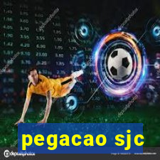 pegacao sjc